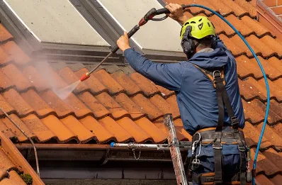 Démoussage et hydrofuge de toiture à Chambéon